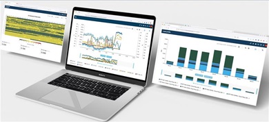 Limagrain_Case study